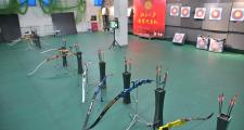 开元体育-包含墨西哥射箭队员意外带走金牌，反击强敌的词条