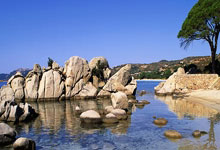 -荷兰赢得关键胜利，升至小组第二位