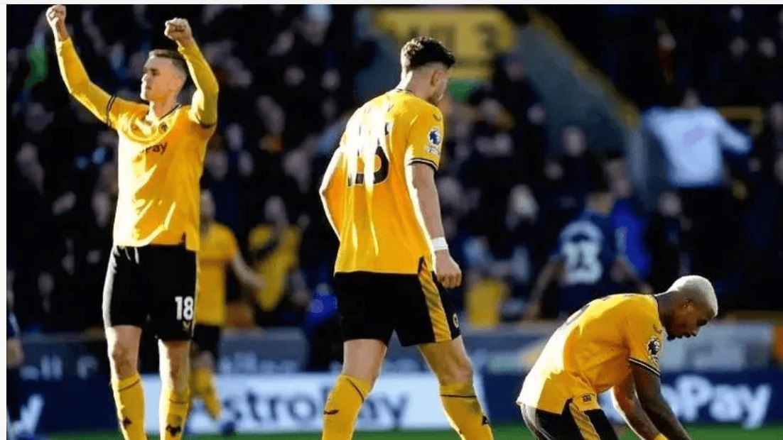 狼队客场险胜卡迪夫城，继续保持不败的简单介绍