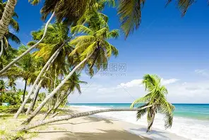 格林纳达足球队冒尖层出不穷