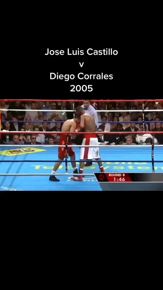 关于拳击擂台上激战,凶猛对决令人热血沸腾的信息 关于拳击擂台上激战,凶猛对决令人热血沸腾的信息