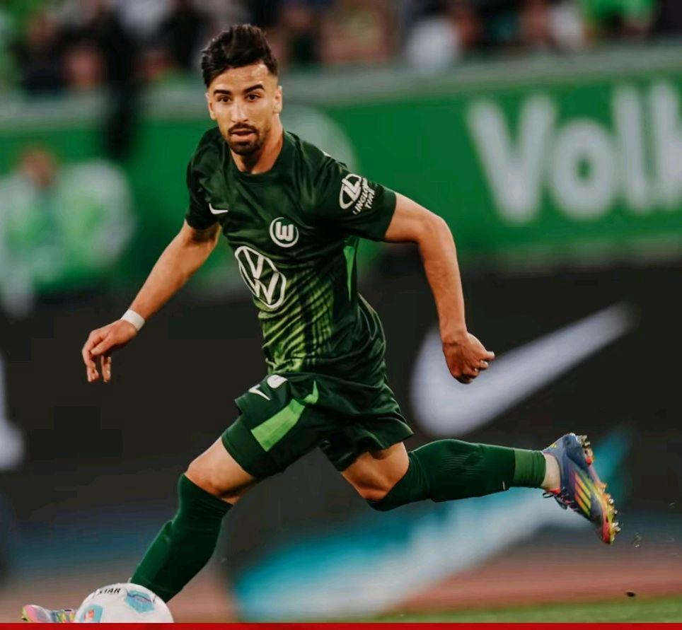 沃尔夫斯堡主场落败，球迷失望不已的简单介绍